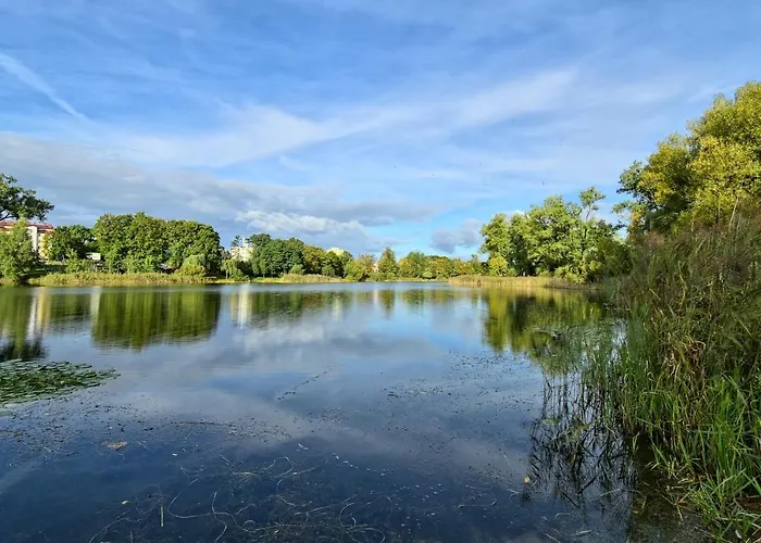 Apartment Apartament Lesny Na Jeziorem Dlugim